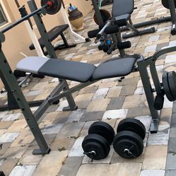 Standard Adjustable Bench And Rack Combo   Bar And 100 Pounds And Dumbbells Handles For 250