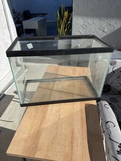 Glass Aquarium