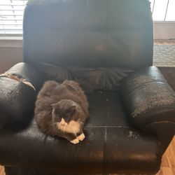 Very Used Furniture . 4 Bar Stools , Recliner , 2 Couches . 