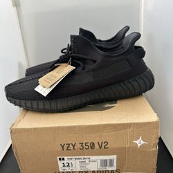 Adidas Yeezy 350 Onyx Size 12.5