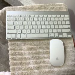 Apple Wireless Mouse & Keyboard
