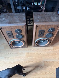 Cerwin Vega house speakers