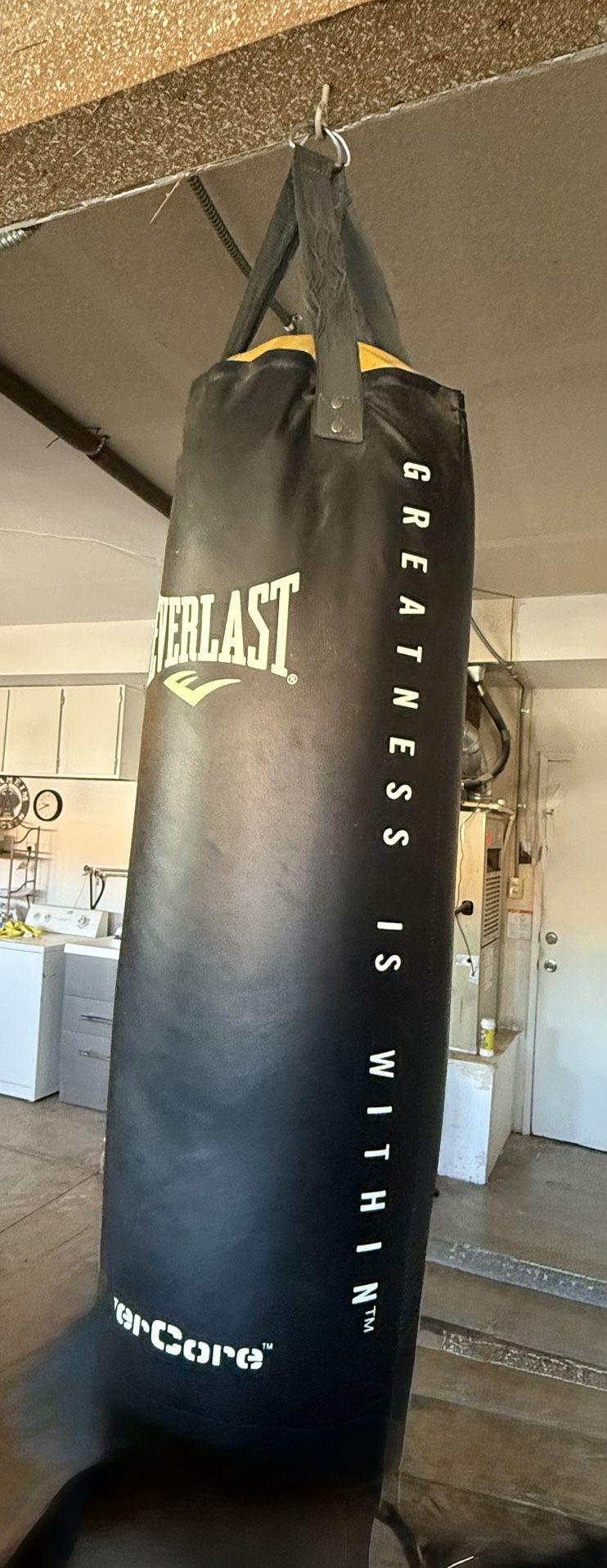 Everlast Punching bag