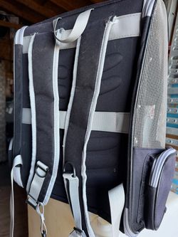 Carry dog