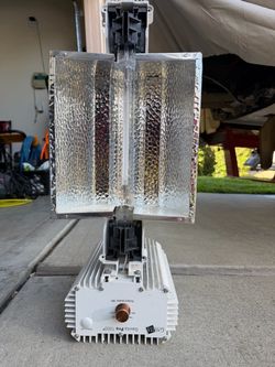 Gavita pro 1000