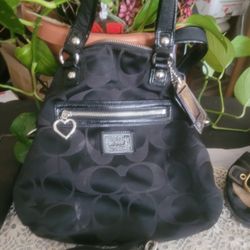 Coach Purse Wallet Shoes