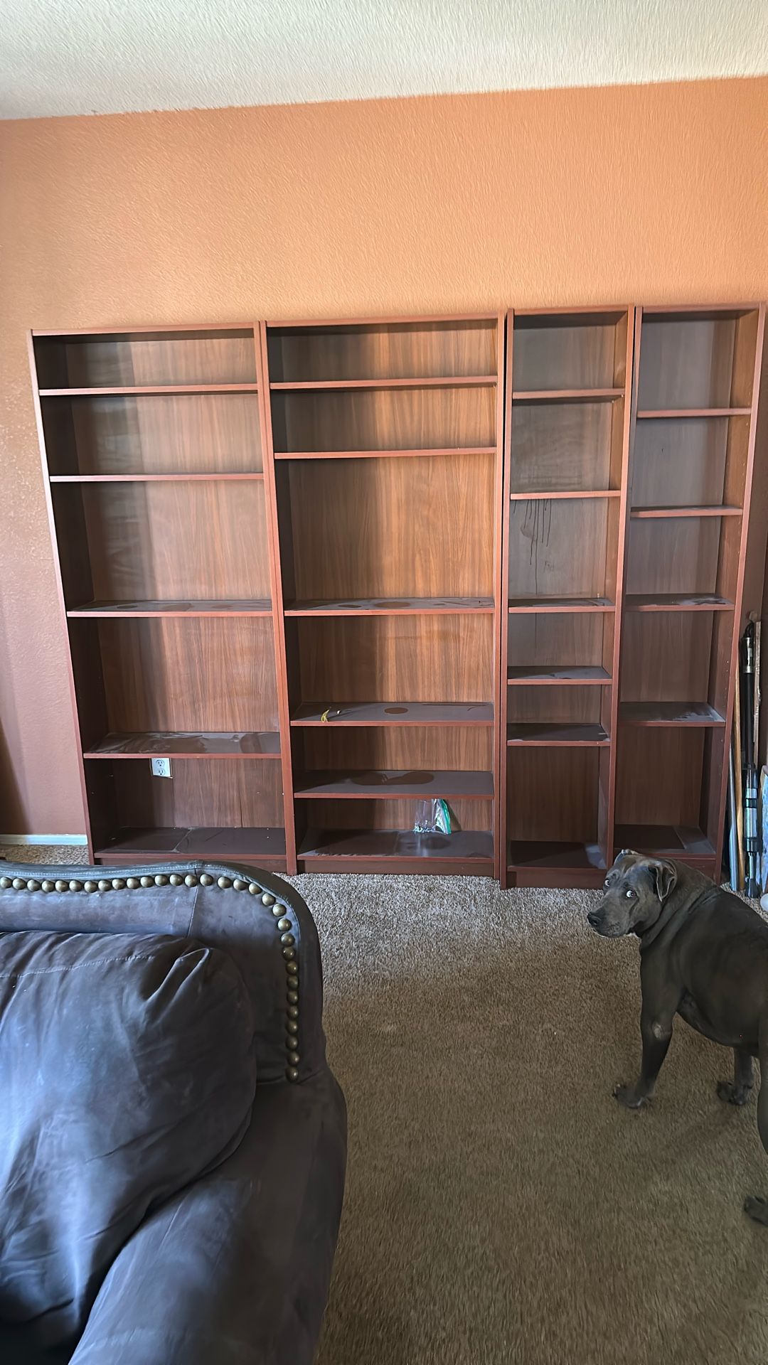 FREE ikea Book shelves