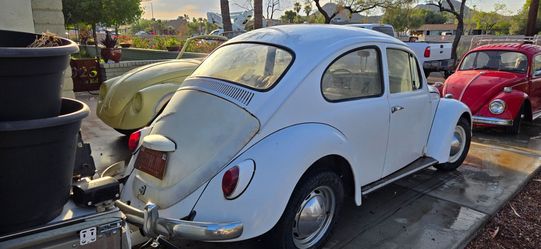 1967 VOLKSWAGEN BEETLE