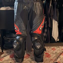 danisee riding pants