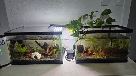 2- 5gl fish tanks read description
