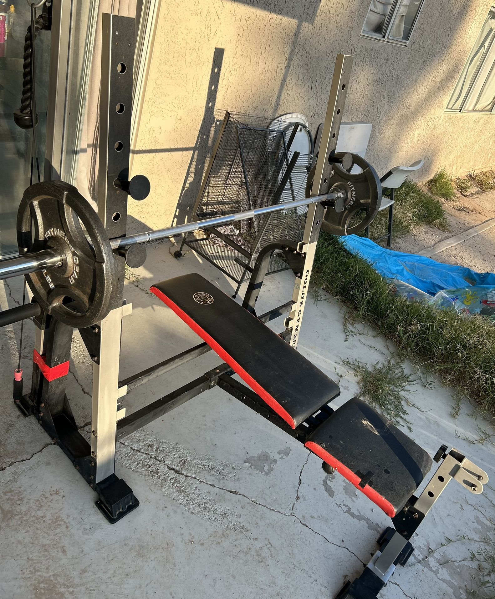 Golds gym bench press + Squat rack + Many dumbbells & Weights all sizes in One