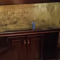 Fish Tank And Wood Stand