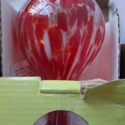 The PLANT BULB REDISH AND BLUE 