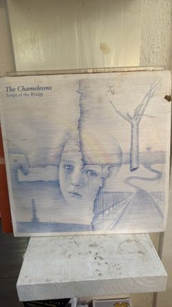 The chameleons on vynil w a sign shirt