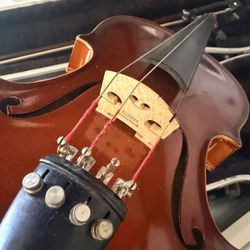 Glaesel Violín 🎻 