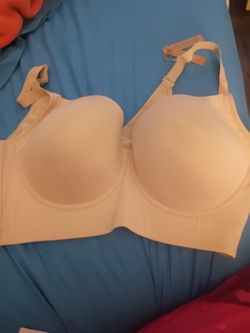 44DDD Bras