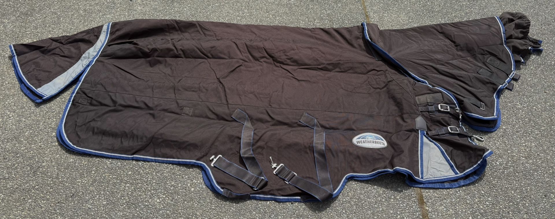 360g Horse Winter Blanket