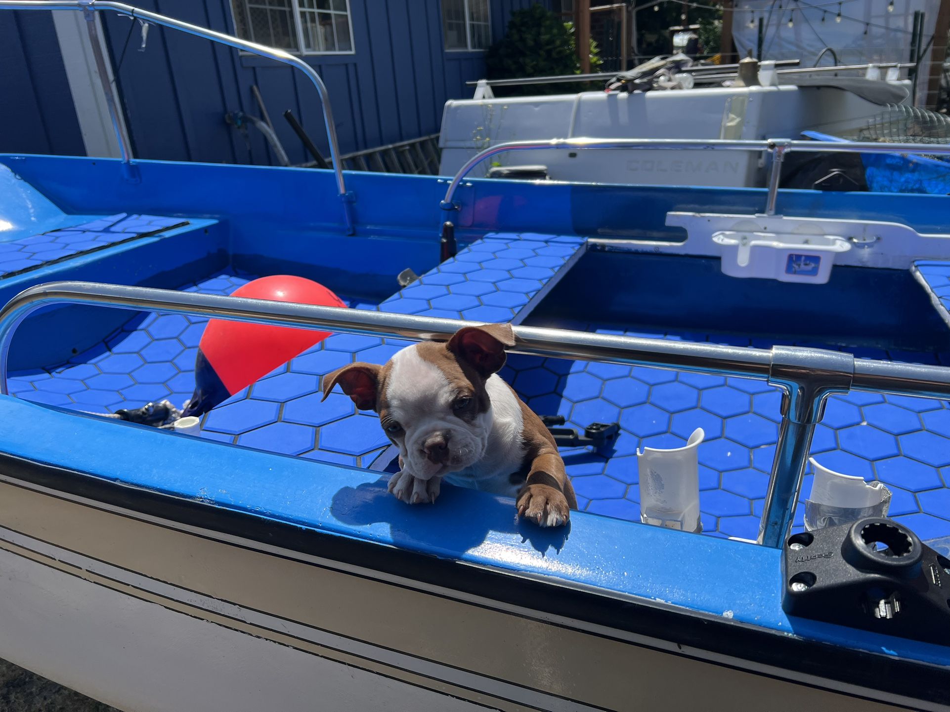 Boston Whaler