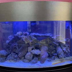 Oceanic Bow Front 90 Gallon Fish Tank