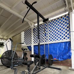 Plate-Loaded Lat Pull Down & Cable Row Machine