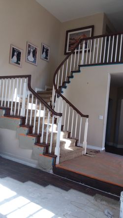 Stain/int/ext & painting