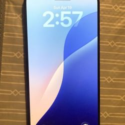 Unlocked 15 Pro Max 256GB