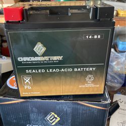 Chrome Battery 14-BS