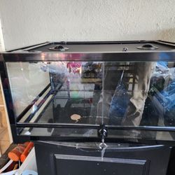 Reptile Tank With Stand