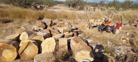 Pine, Eucalyptus, And Orange Wood Stumps 
