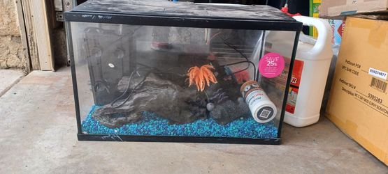 30g fish tank
