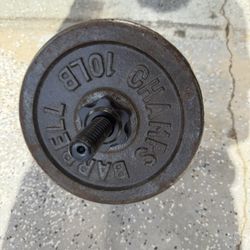 Dumbbell Weights 20 pounds