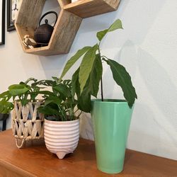 MCM (mid century modern)Vintage green ASA Selection Germany 8" vase