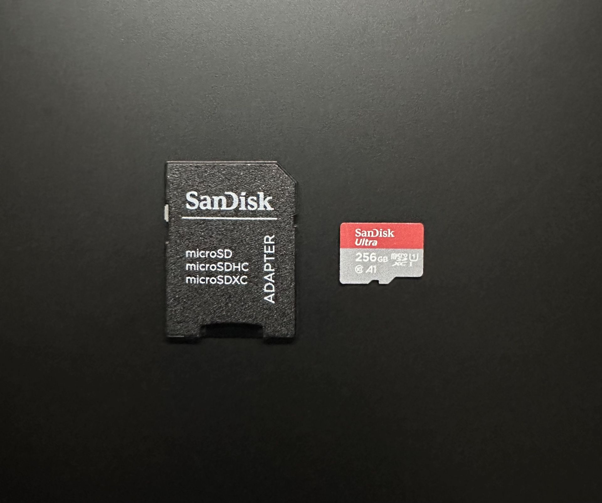 SanDisk Ultra 256 GB Micro SD Card
