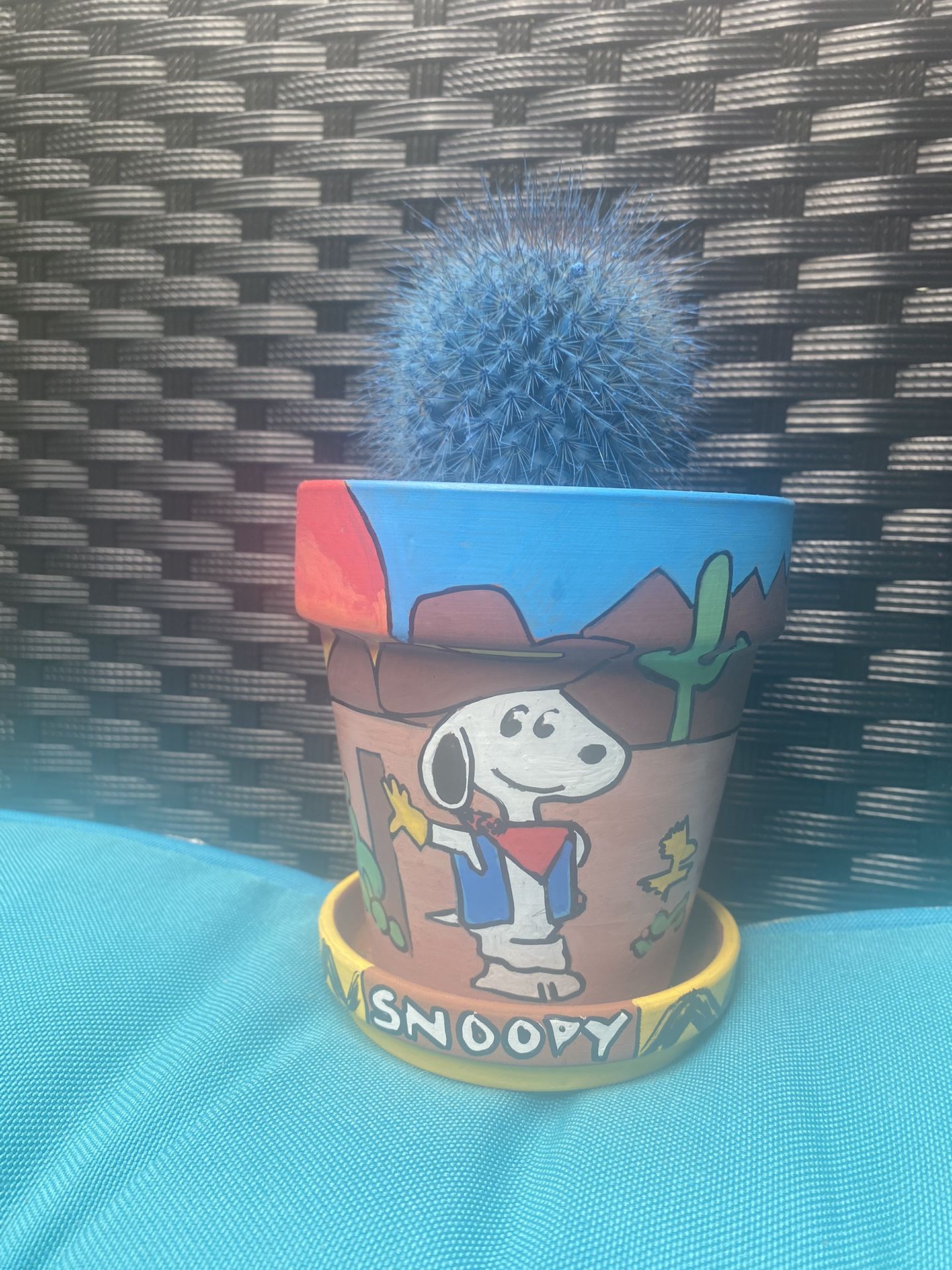 Snoopy Desert 🌵 Hand painted Flower pot