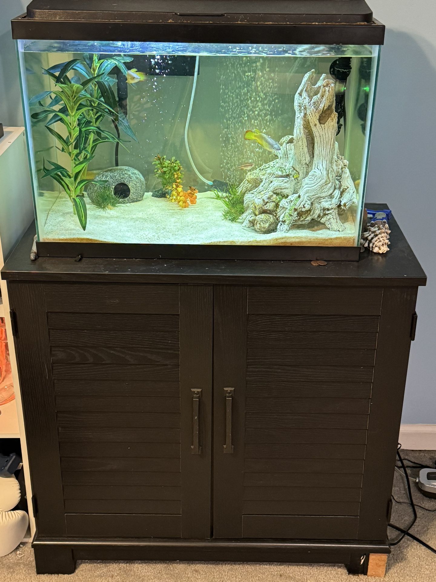 Aquarium and Stand