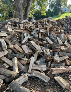 Firewood Avocado Seasoned Ready To 🔥🥑 🌧️
