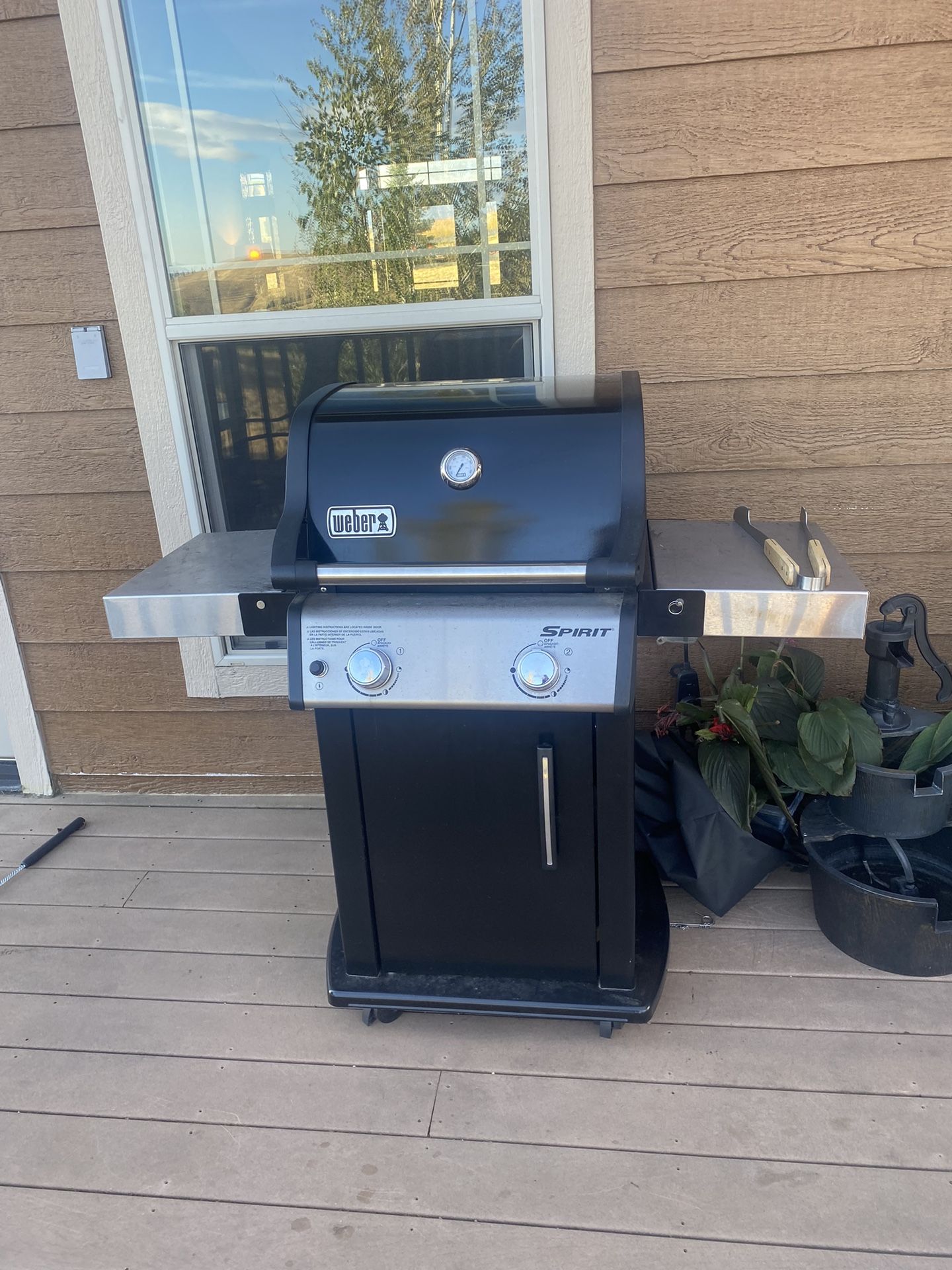 Weber Gas Grill With Weber Cover