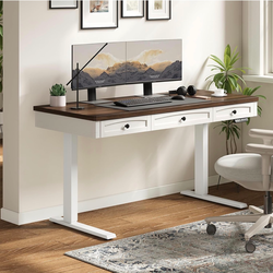 Standing Desk with 3 Drawers, 55 x 24 Inch Electric Height Adjustable Desk with Storage & Outlets, for Computer Workstation, Home Office, Retro Curved