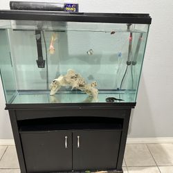 Fish Tank And Stand 