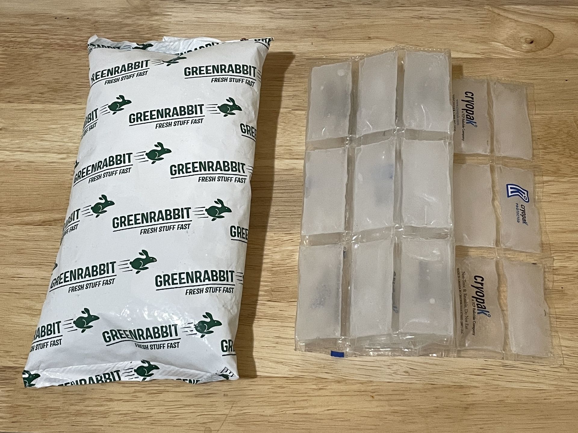Ice Packs (2)