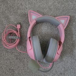 USB Connection Headphones With Mic
