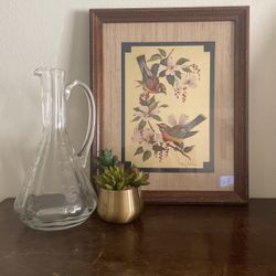 William J. Whiteside Birds Vintage Art