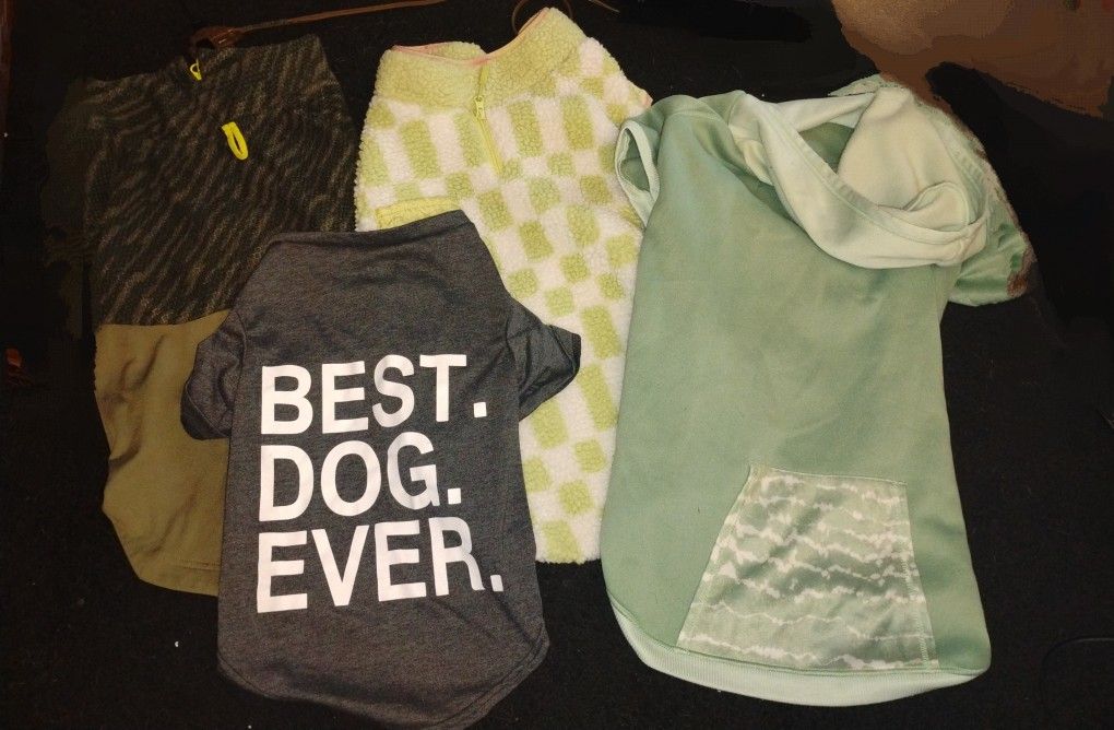 Dog Shirts L, Xl, XXL