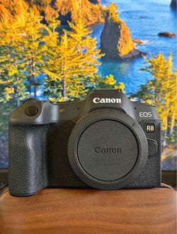 Canon R8 - body only