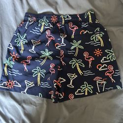 Chubbies Swim Trunks 