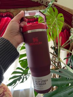 Stanley IceFlow Flip Straw Tumbler 30 oz
