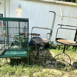 Bird Cage 