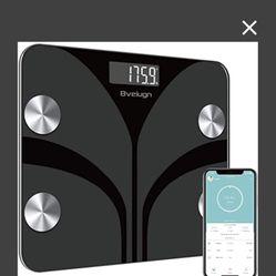 Body Fat Scale