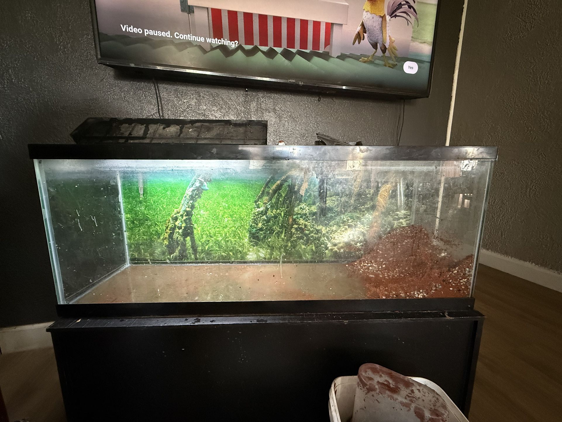 Fish Tank
