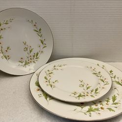 Vintage Dining China Set